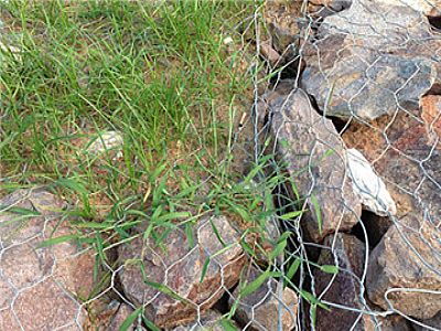 楊梅水庫(kù)應(yīng)用晟特廠(chǎng)家鉛絲石籠